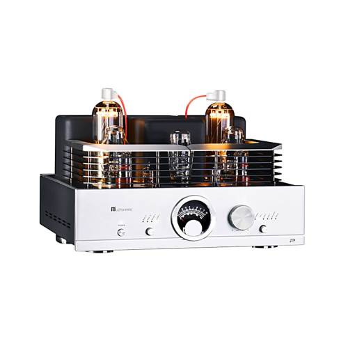 MUZISHARE R100 Tube Amplifier