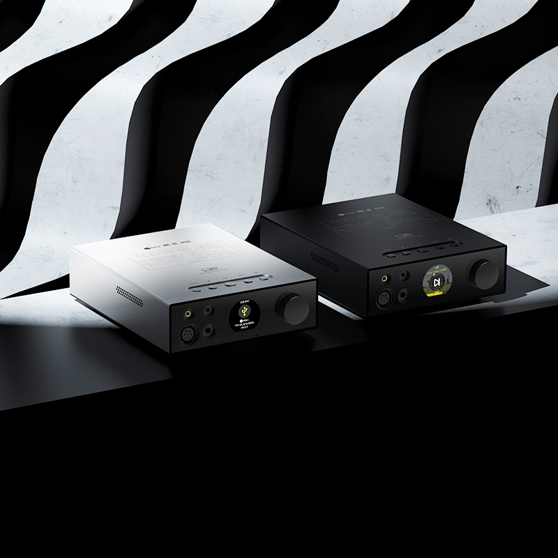 Desktop dac online amp