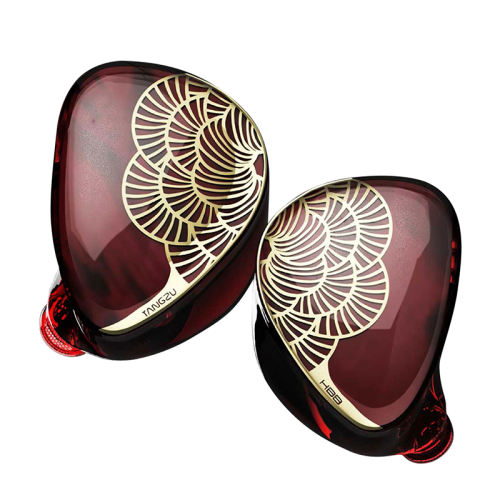 TANGZU XUAN NV Dual Dynamic Drivers In-Ear Headphones