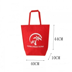 Custom Non-Woven thermal Insulated Lunch Box Tote Bag Cooler