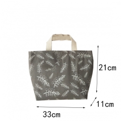 Portable Lunch Bag With Hook&loop New Women Ladies Girls Kids Fashion Insulated Lunch bag