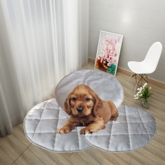 Round Shape Dog Mat Sofa Bed