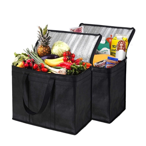 Custom Logo Hot and Cold Food Delivery Non Woven Lunch cooler bag