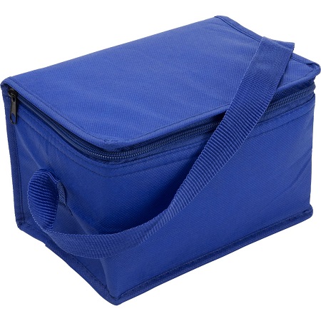 Non Woven Thermal Insulation Cooler Bag Printing Insulated Food Shoulder Length Handle