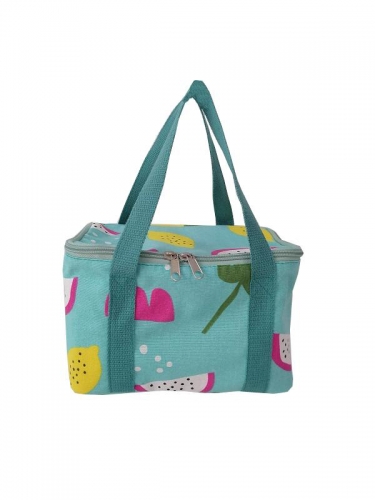 Reusable Insulated Lunch Bag Cooler Tote Bag for Beach People Men & Women Picnic or Travel