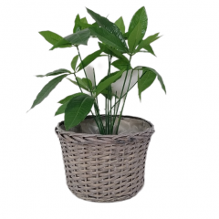 High Quality round seagrass Woven Baskets plant pots for garden planting flower basket pot straw basket for plants