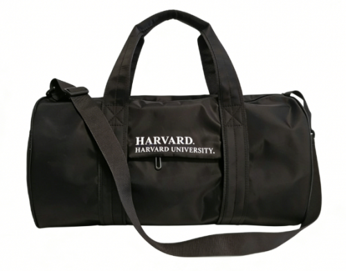 Fashion New Style Eco Friendly Large Capacity Sports Bag