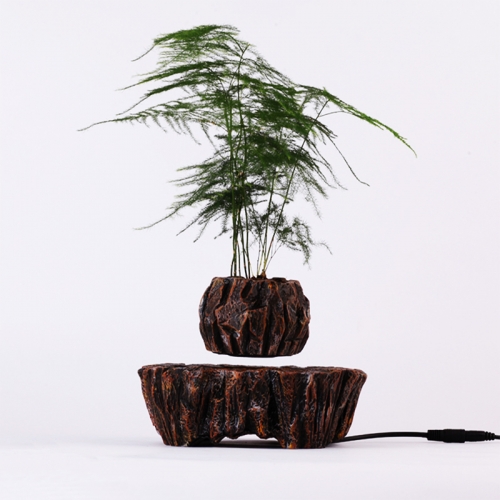 Asparagus fern symbol of status magnetic levitation floating maglev flower pot plant culture bonsai gardening arts boss office