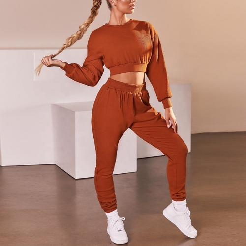 Hot Sale High Quality Women's Clothing Plus Size Jogger Wear Clothing Women Outfits Two Pieces Sweatsuit