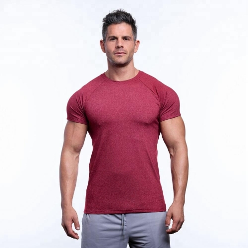 Mens Short Sleeve Gym Sports Clothing Men's Workout Wear Fitness Solid Compression Active T Shirts Wholesale