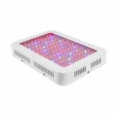 Led Grow Light Full Spectrum Plant Flowering Grow Light Led Horticulture 1200 Watt 480W Flower Greenhouse Vegetable Growing Lamp