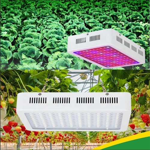 Led grow light greenhous full spectrum 2000w lm301b led grow light 3500 high-power 5 w led chips grow light