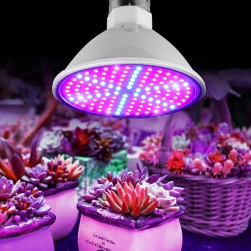 200LED Plant Growth Light Indoor Potted Plant Filling Light Flower Plant Hydroponic Growth Light
