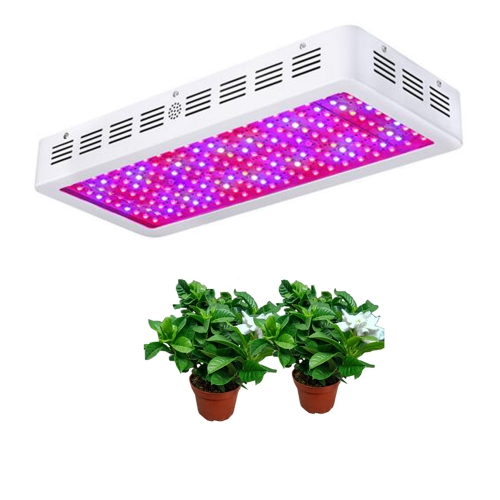 Grow light bulb led waterproof big etl dlc led grow light high ppfd full spectrum 720w 600 watt grow light led