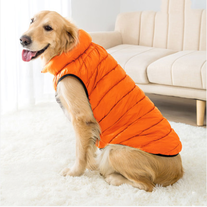 Thick warm padded coat for large dogs down