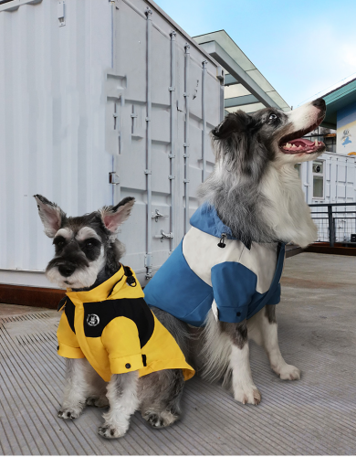 Warm down jacket for dogs in winter