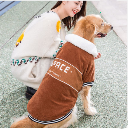 Thick warm padded coat for large dogs down