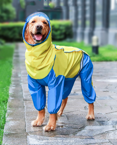 Dog's raincoat