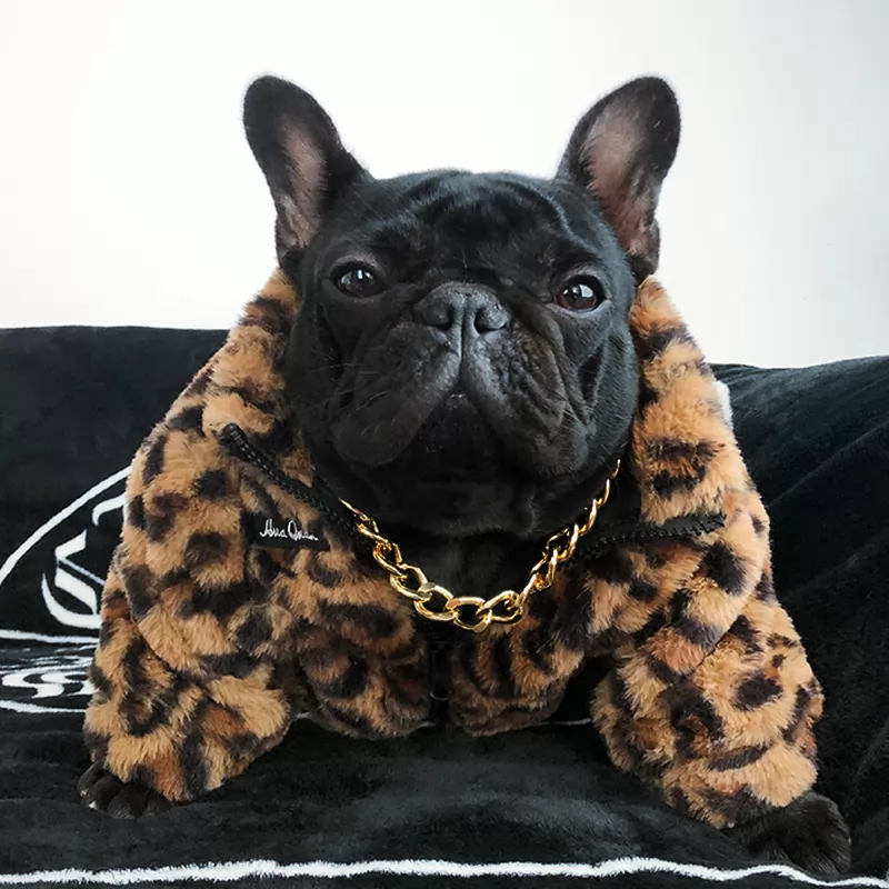 Winter coat for dogs leopard print fur coat