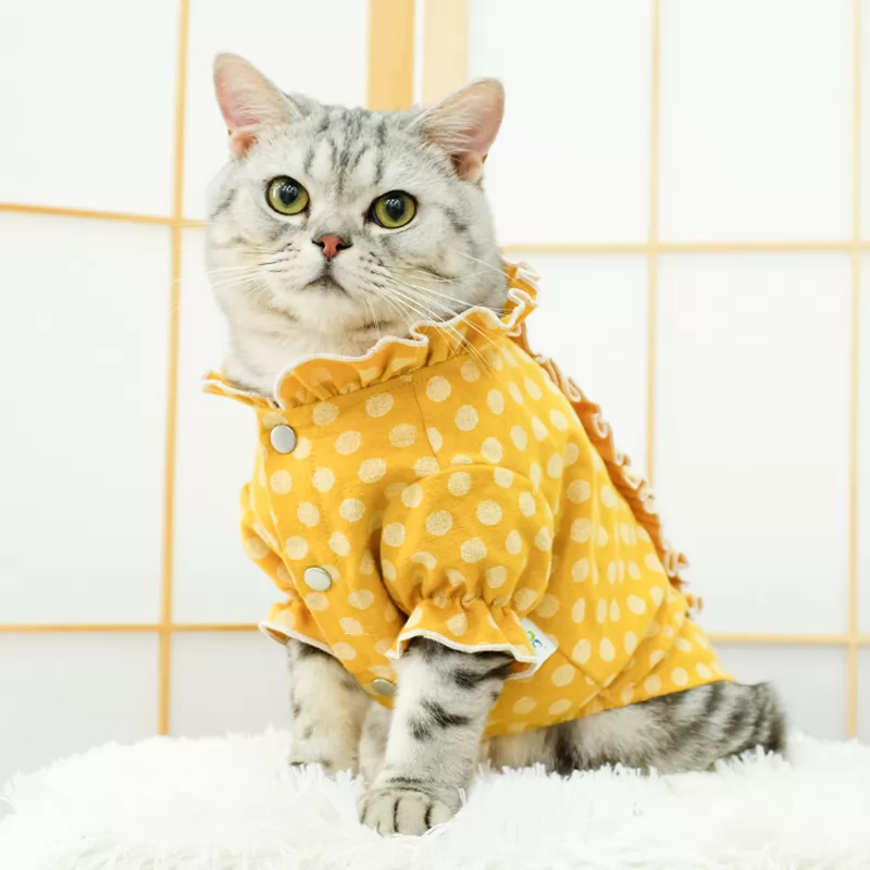 Cat clothes prevent hair fall