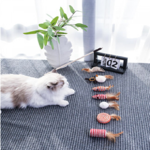 Cat toy kit cat fairy feather mouse bell combination