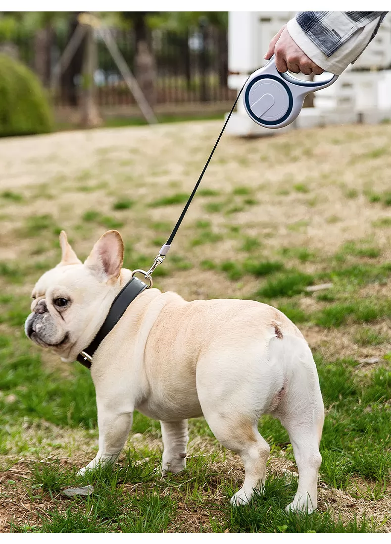 Dog's leash expands and retracts automatically