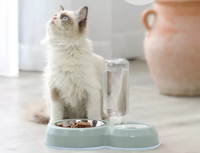 Dog bowl dog bowl cat bowl double bowl automatic drinking water