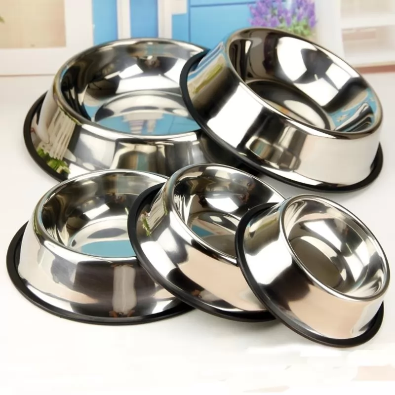 Pet Bowl Stainless Steel Cat Bowl Teddy