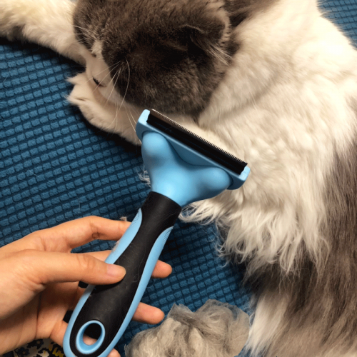 Cat comb to remove floating hair