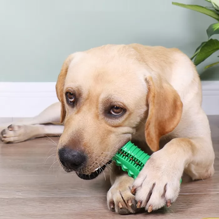 Dog toy bite-resistant molars sounding dog boredom artifact