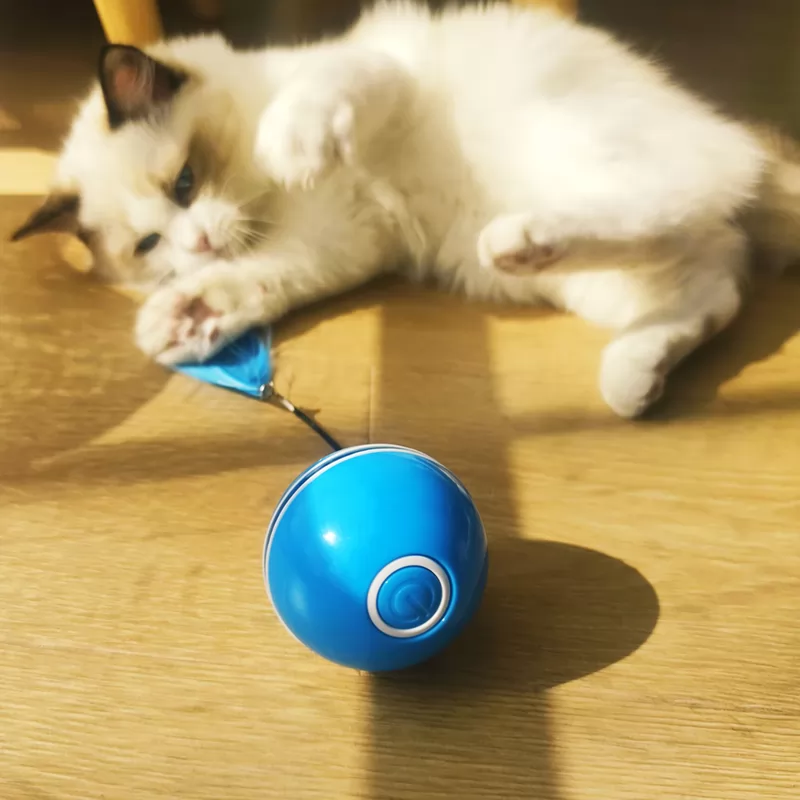 Cat toy automatic electric cat ball charging boredom cat tease artifact