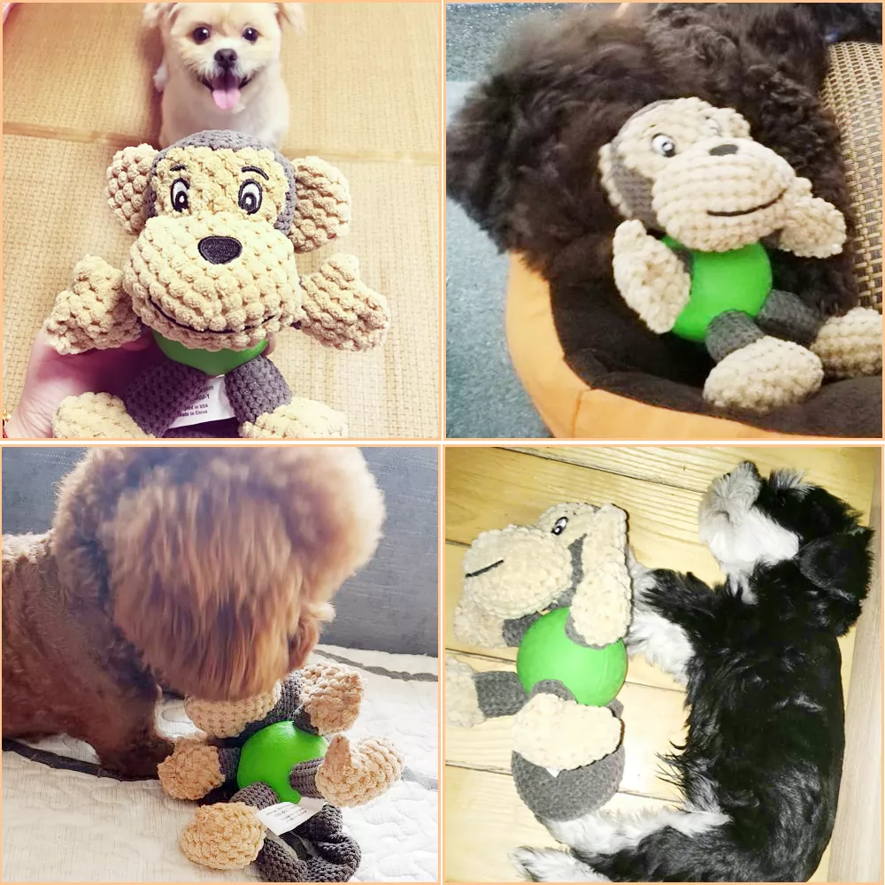 Dog toys, dog molars, biting and sounding Teddy Corky puppy toy balls