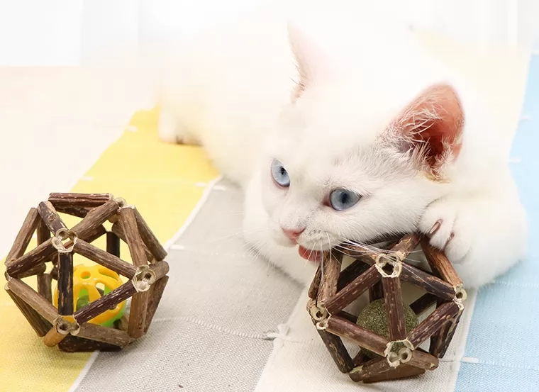 Cat toy Polygonum mutianum ball mint ball exquisite ball