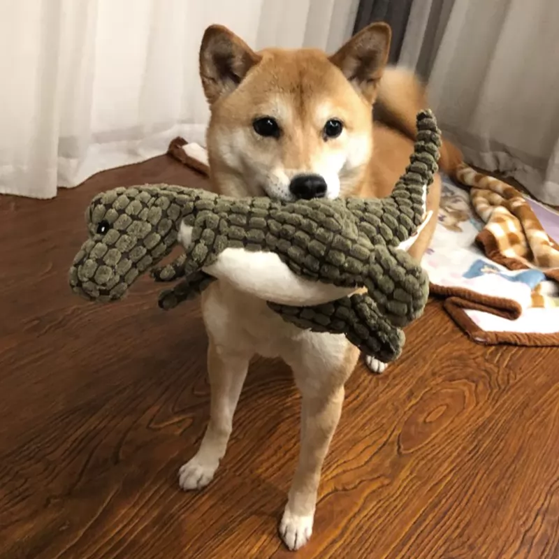 Dog toys sound bite-resistant plush products molar boredom artifact