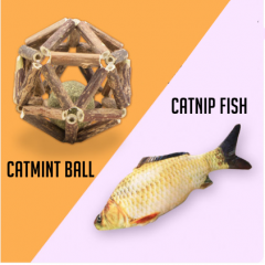 ball+fish