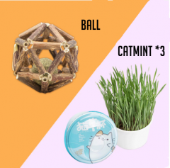 Ball+Catnip