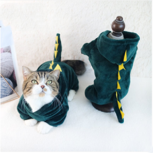 Cats have four legs for winter wear