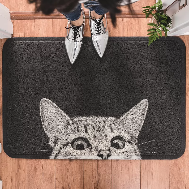 Cartoon cat silk enclosure doormat