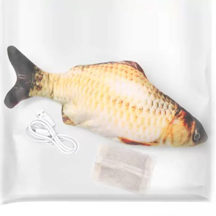 Crucian carp