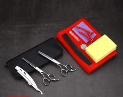 Flat scissors + tooth scissors + bag + razor