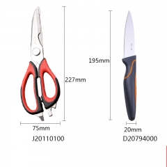 Kitchen scissors + fruit knife