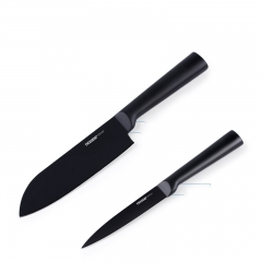 Chef\'s knife and fruit\'s knife