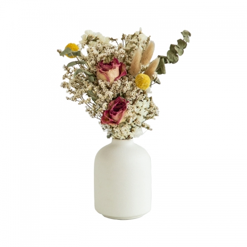 Creative simplicity of dry flower vase on INS desktop