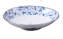 22 cm oval plate