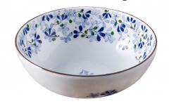 16 cm bowl bowl