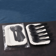 Black 10 disc fork knife transparent bag 100 sets