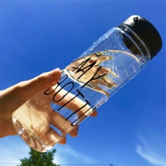 Transparent black (500ml)