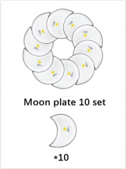 10 Moon plate