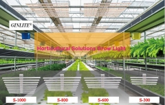 GINLITE LED Grow Lamp GL-TP-LT-1000