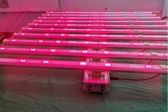 GINLITE LED Grow Lamp GL-TP-LT-1000